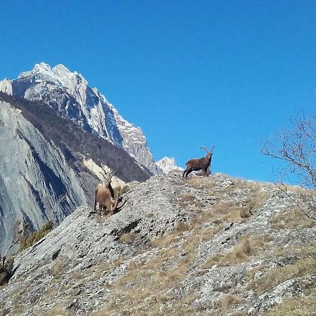 Location Vacances Saint Michel De Maurienne "Le Dahu" Apartment Екстериор снимка